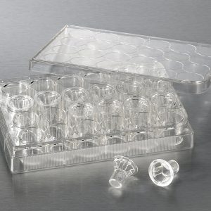 TRANSWELL DE 6.5 MM CON INSERTO MEMBRANA DEPOLICARBONATO DE PORO DE 5.0 μm . 3421